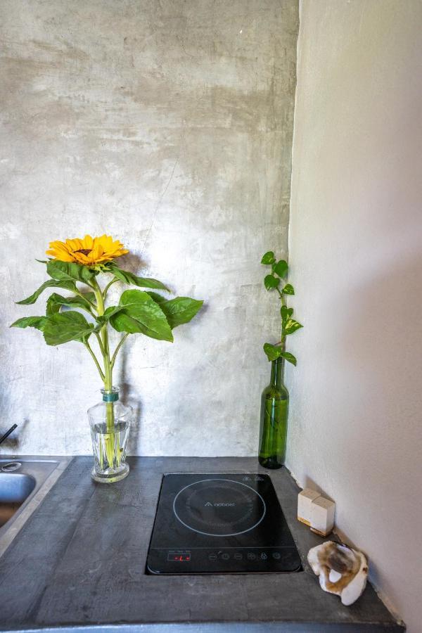 Casa Monika Vista Suit 푸에르토 에스콘디도 외부 사진